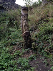 A carved wooden totem pole with a face and leaf-like design stands amidst a lush, green, overgrown area. The pole has a small plaque attached near the top. Surrounding it are various plants and grasses, with a stone structure partially visible in the background.