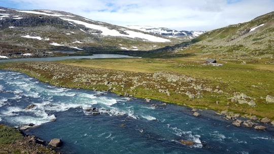 photo of Myrdal Tundra near Nærøyfjord