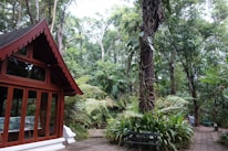 A traditional wooden structure with large windows is situated on the left, surrounded by a lush, dense forest filled with tall trees, ferns, and various tropical plants. A pathway made of stone tiles leads through the greenery, where a bench is placed nearby. The setting is serene and immersed in nature.