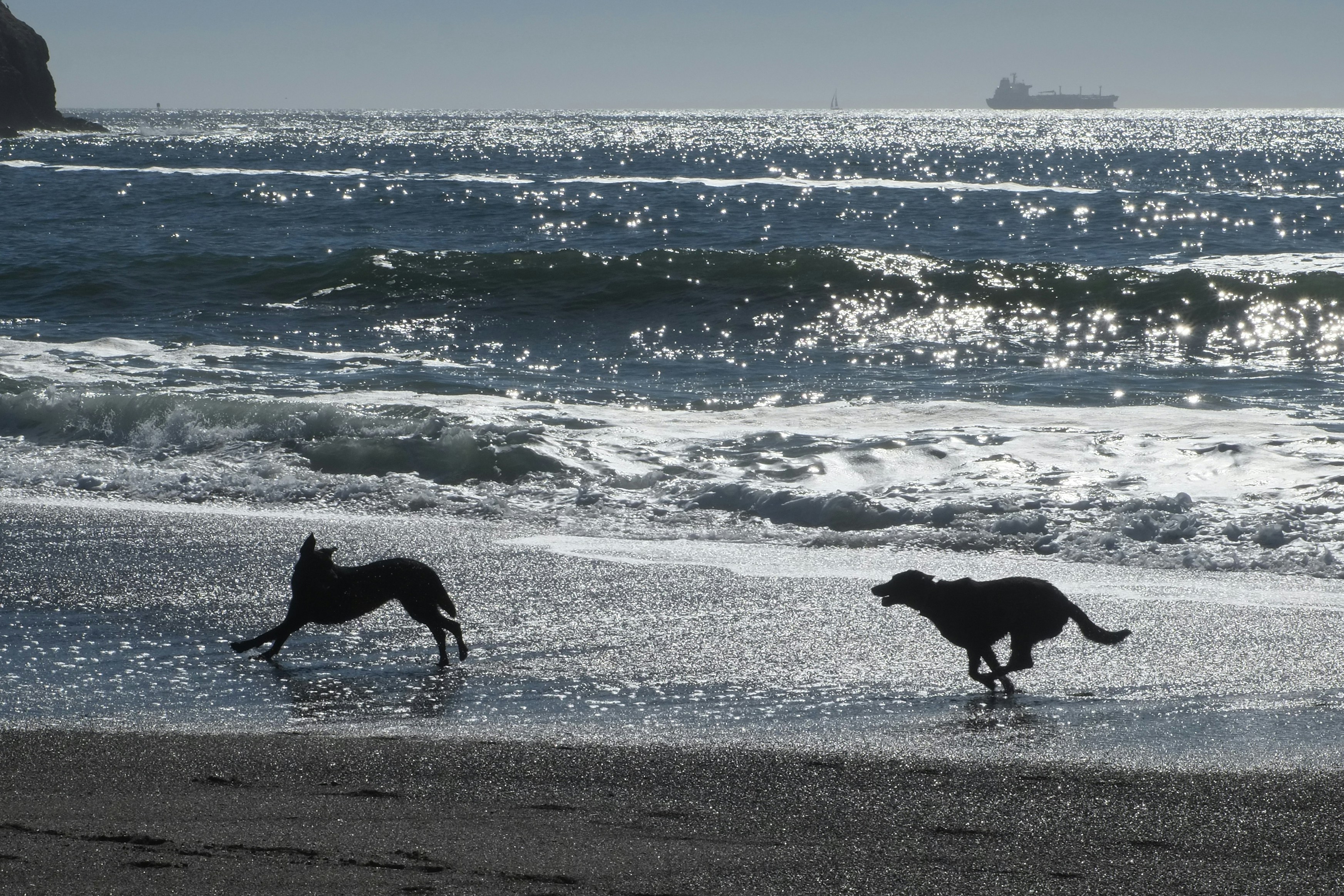 Free Unsplash photo from HONGRU HOU