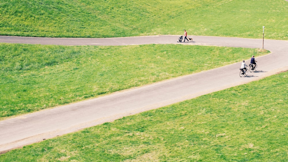 winding road near grass field