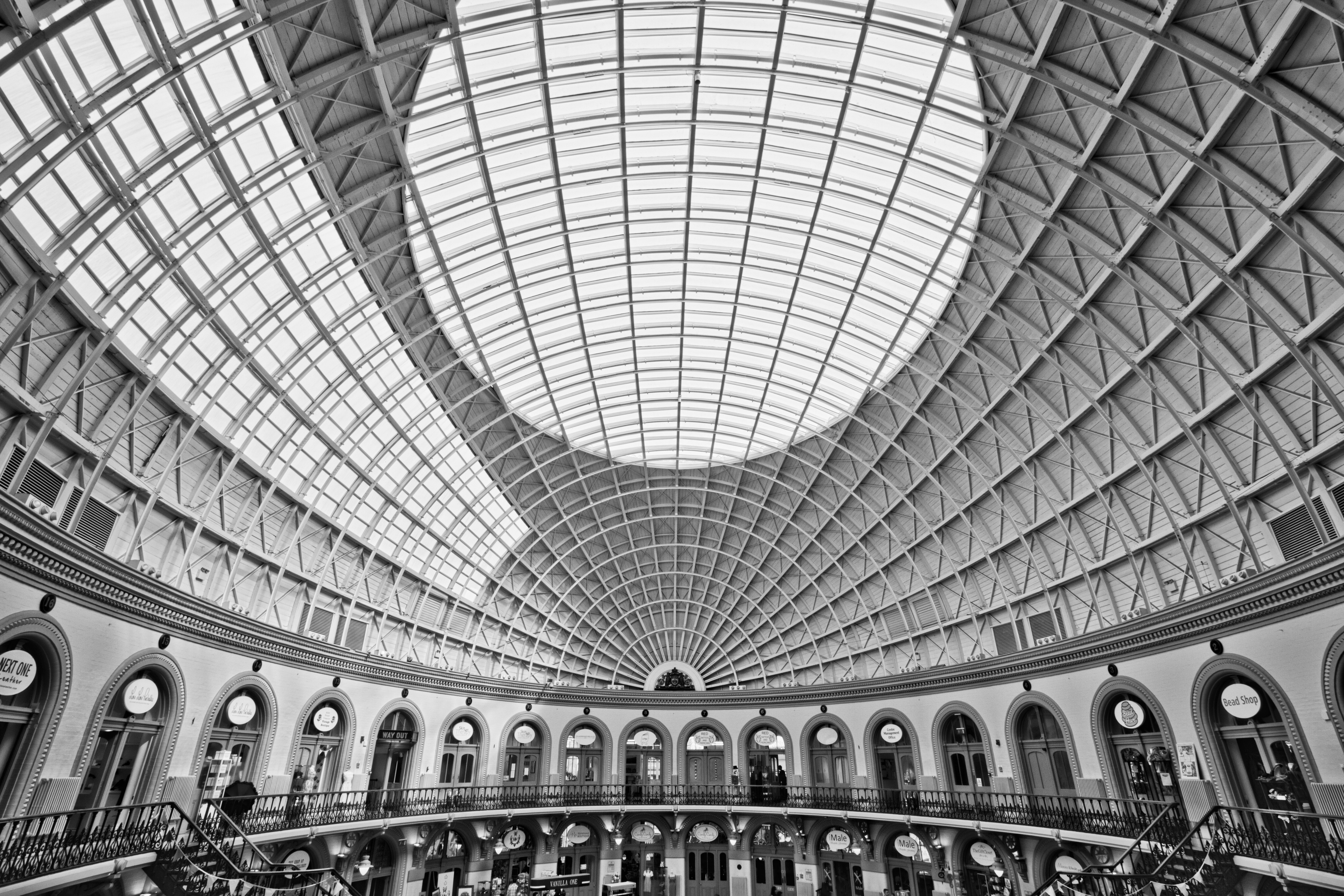 Free Unsplash photo from Michael D Beckwith