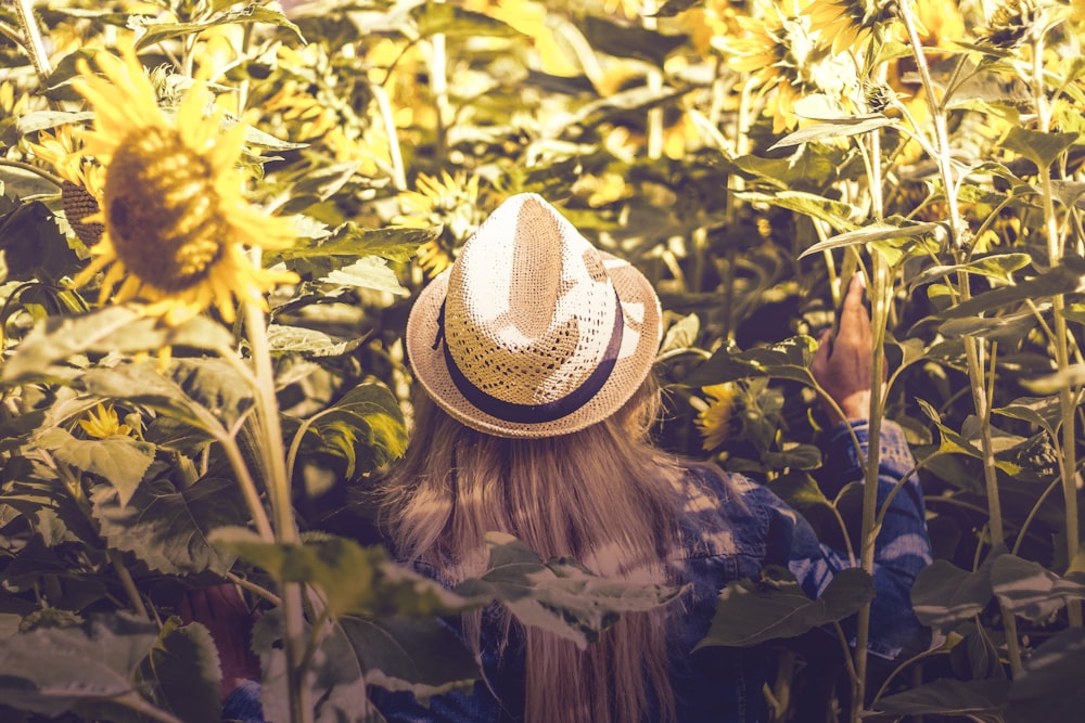 Person mit weißem Hut neben Sonnenblumenfeldern