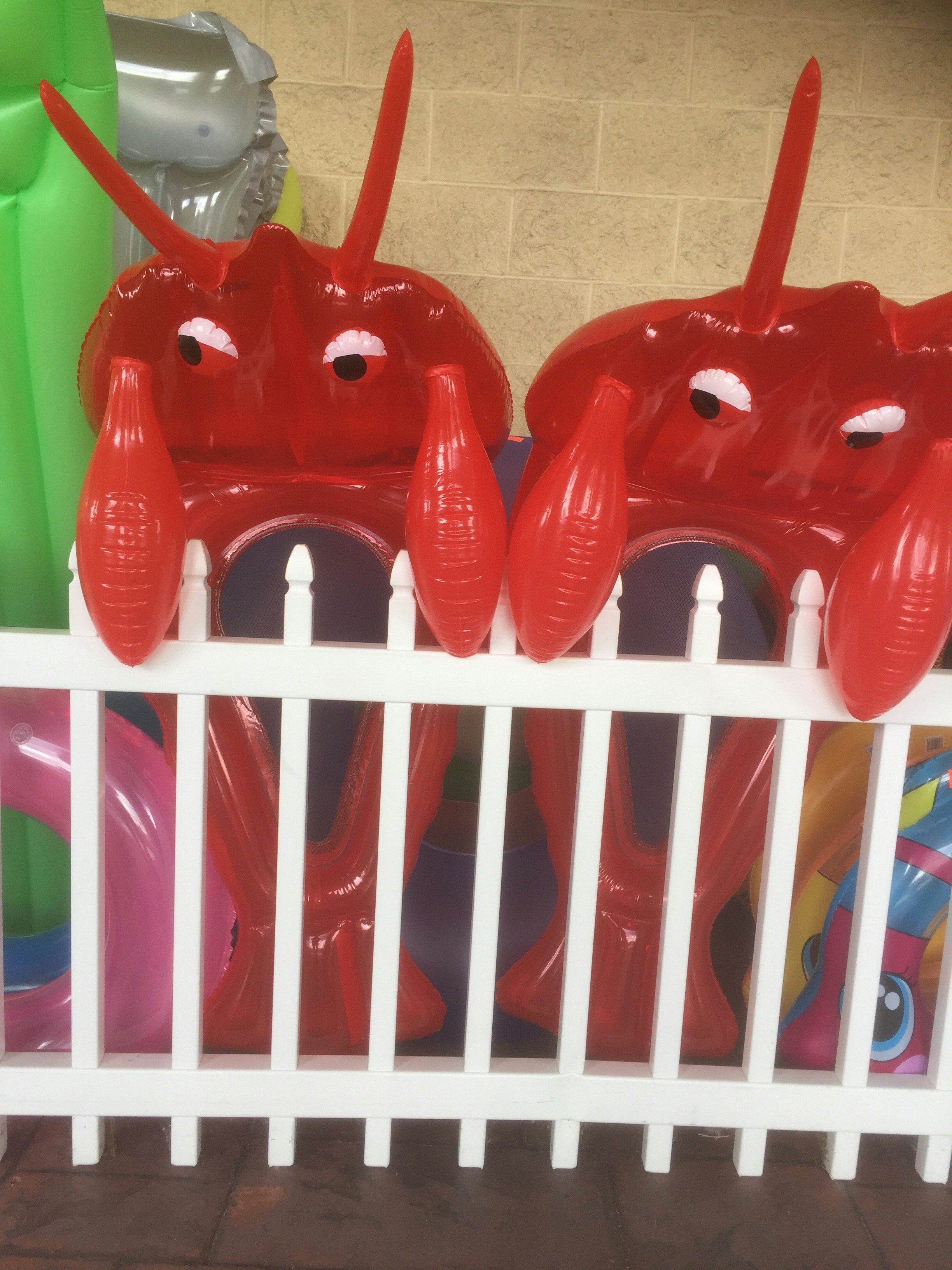 Inflatable Game Rentals