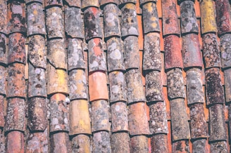 roof shingles