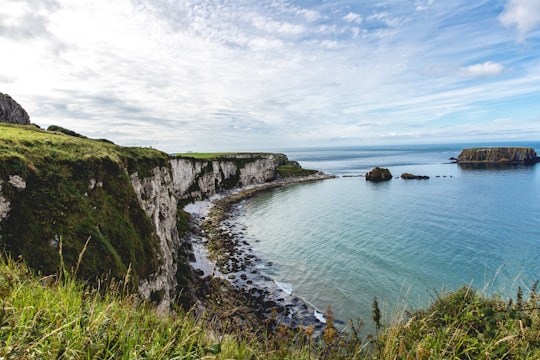 photo of Northern Ireland Cliff near Portstewart Strand