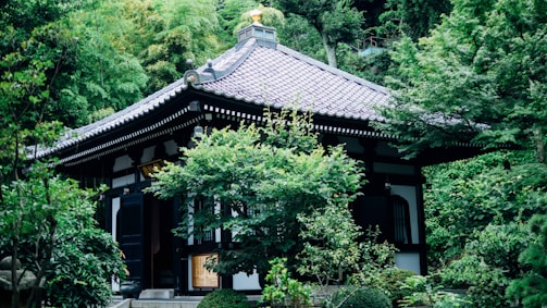 A serene Japanese-style wooden house blending traditional and modern architecture in a lush green setting.