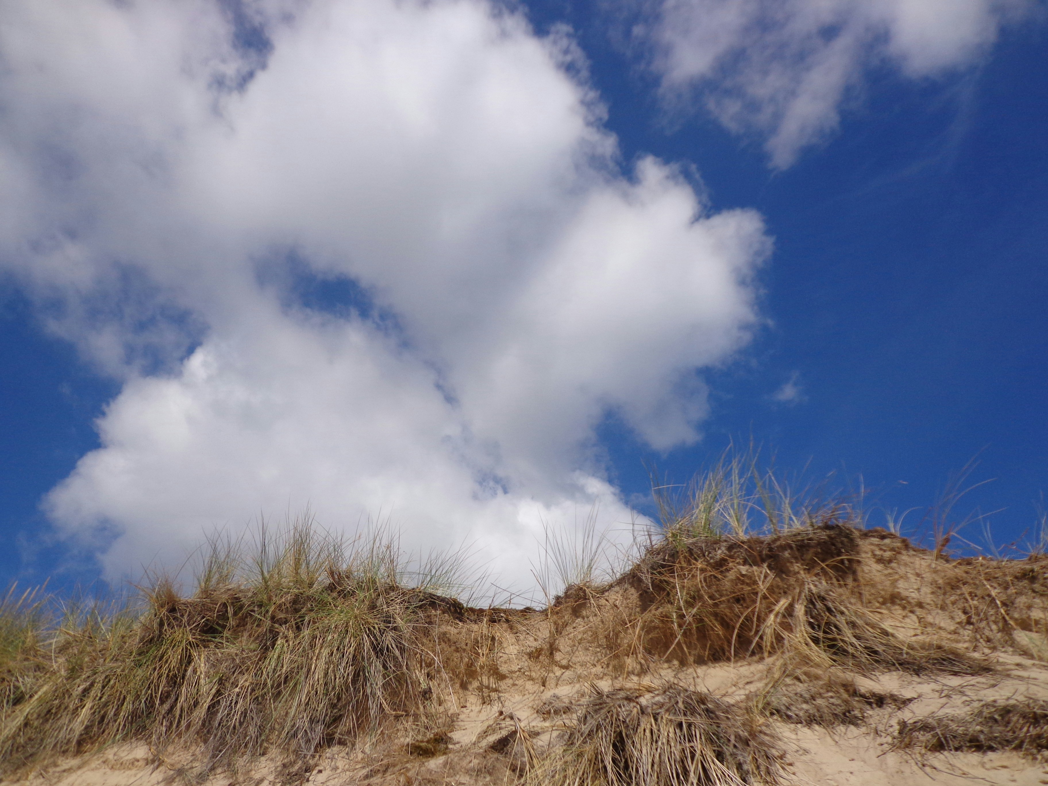 Free Unsplash photo from AnneKath D