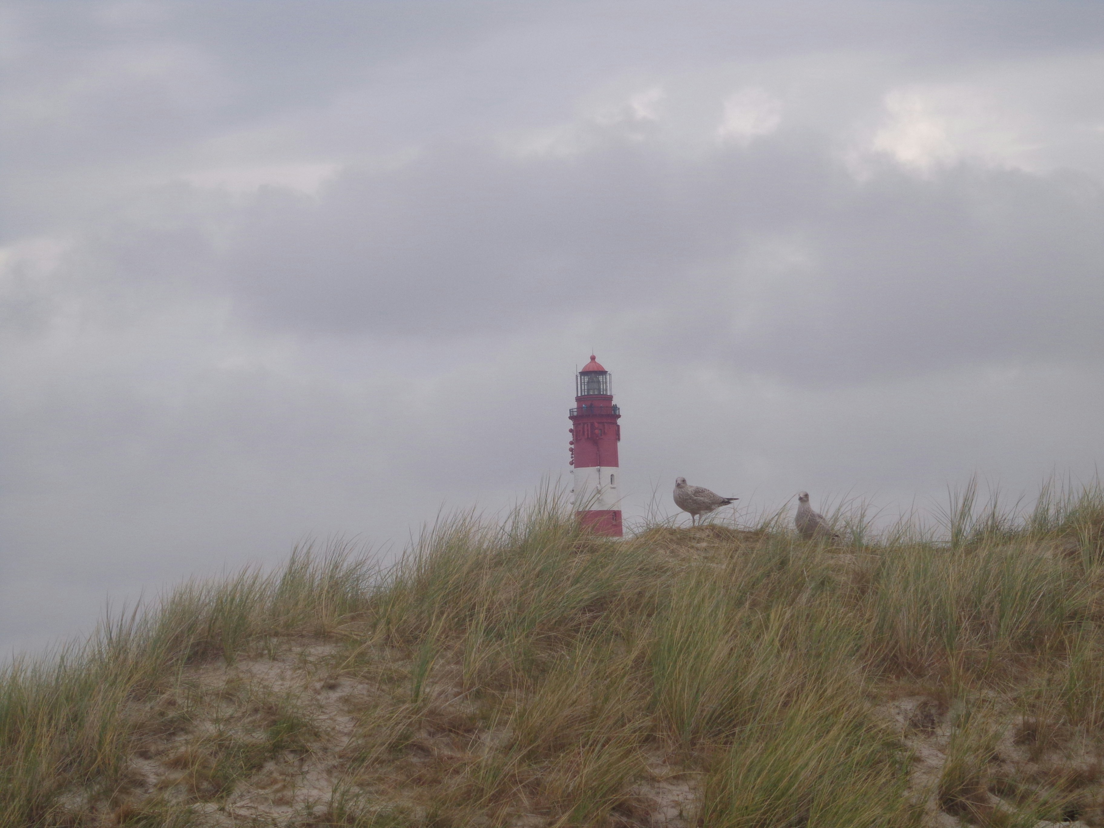 Free Unsplash photo from AnneKath D