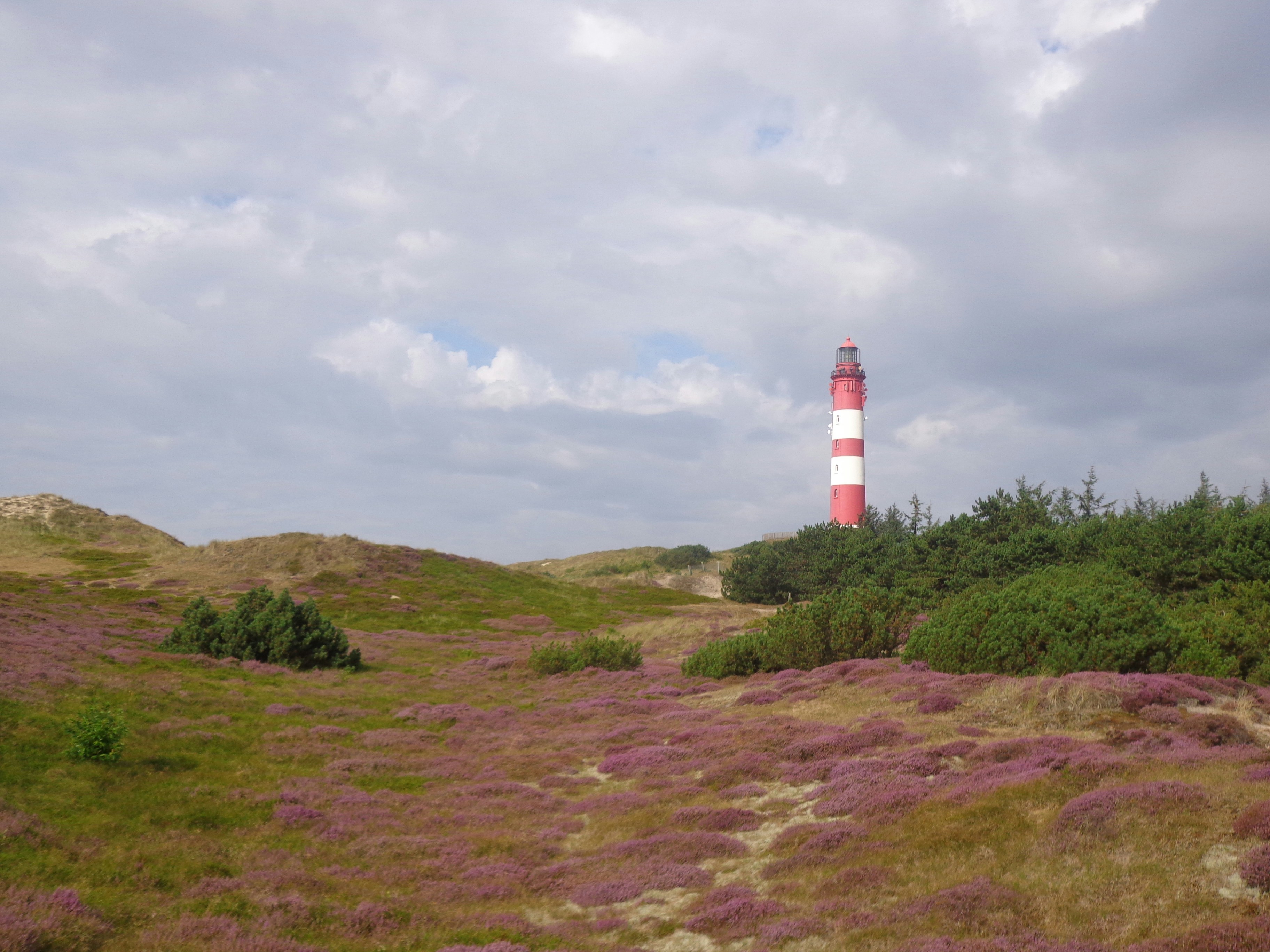 Free Unsplash photo from AnneKath D