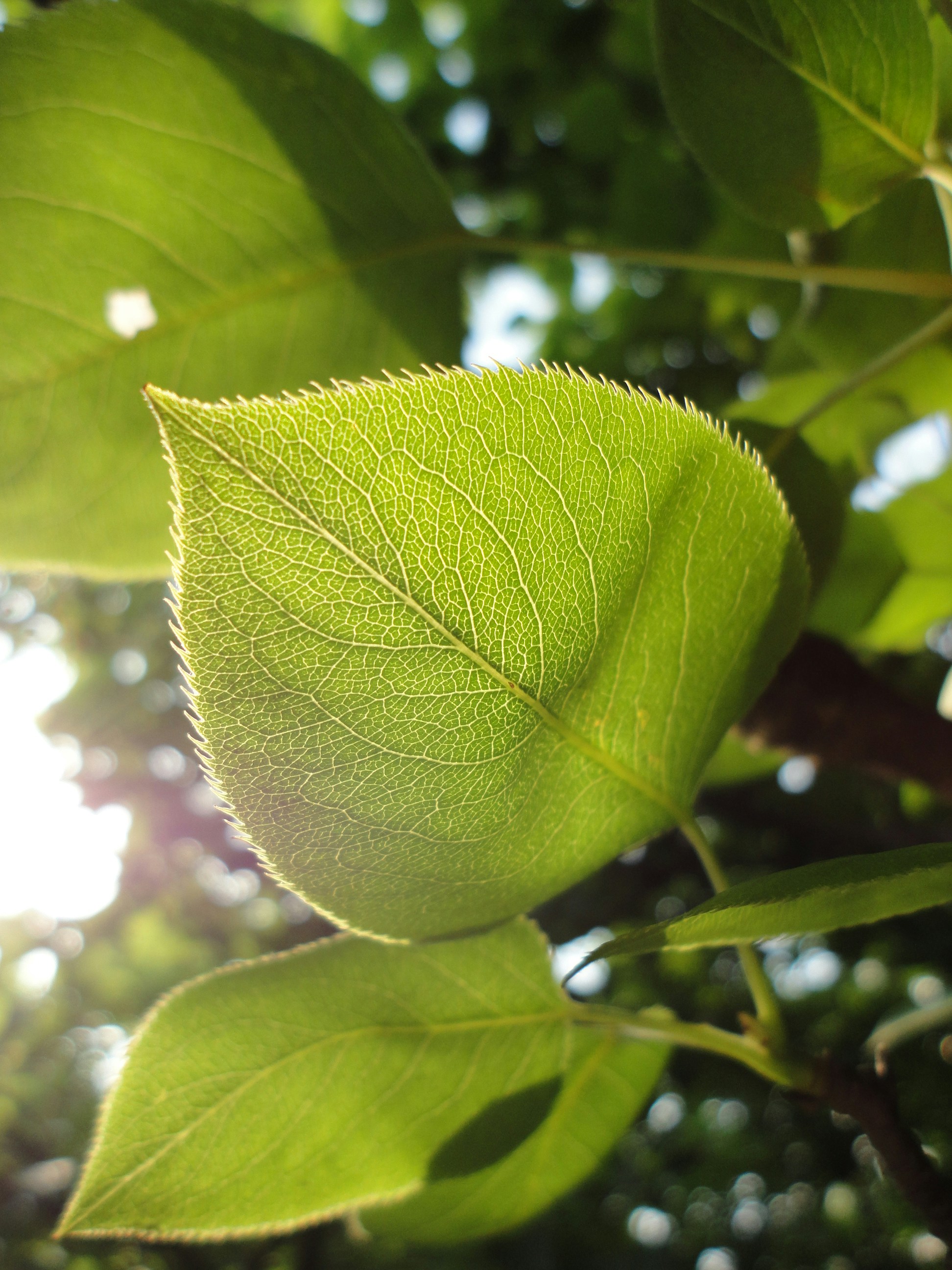 Free Unsplash photo from Wang Shao