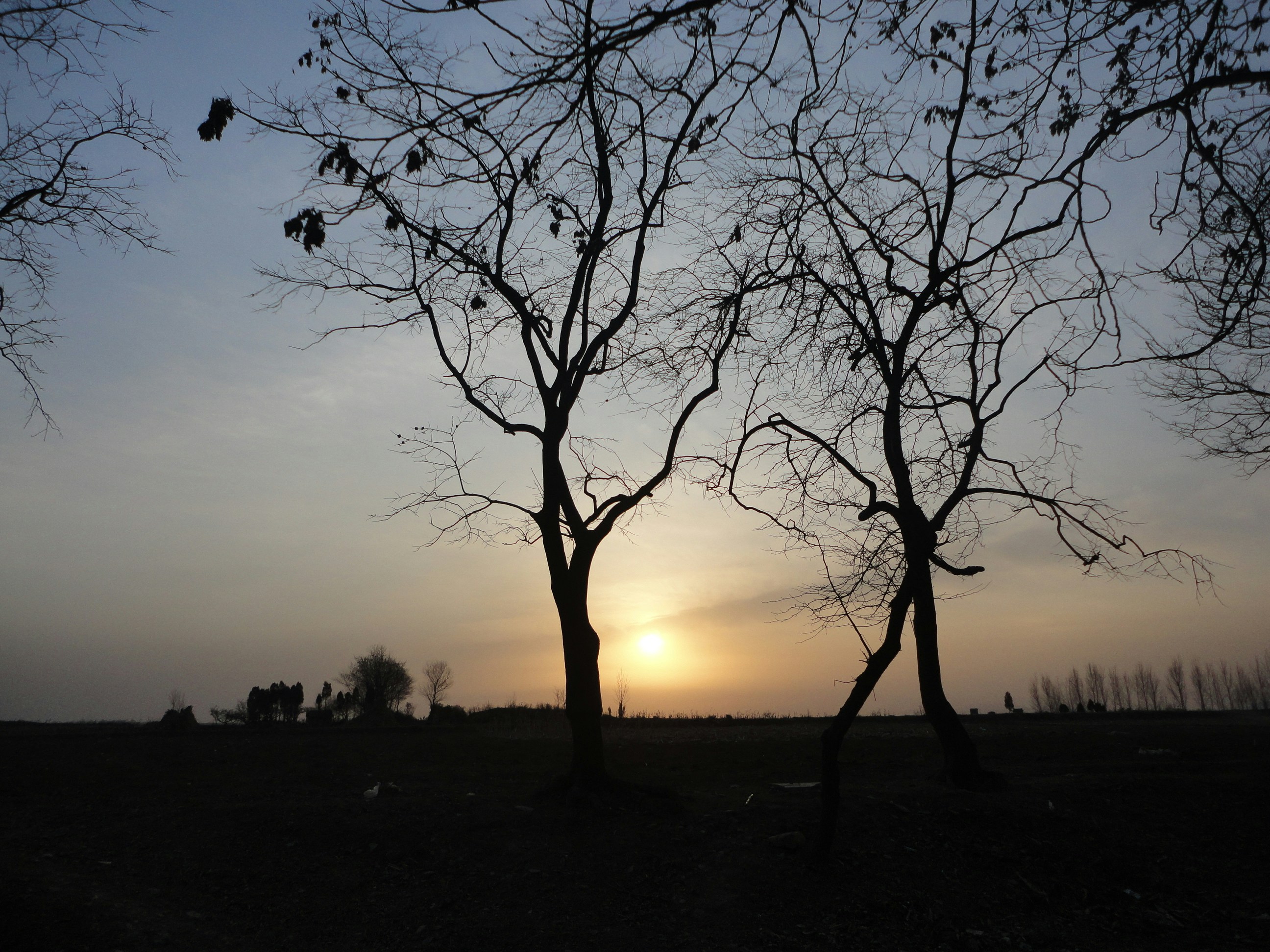 Free Unsplash photo from Wang Shao