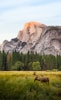Nature and clean surroundings
