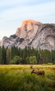Nature and clean surroundings