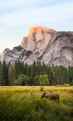 RV rental Los Angeles — Los Angeles to Yosemite NP RV route (Los Angeles, CA)