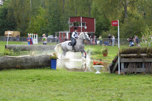 A rider on a white horse is participating in an equestrian event, jumping over a water obstacle in a grassy area. Several people are in the background observing, and there is a wooden structure and log present. Trees and a red building are seen further back, contributing to the natural setting.