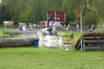 A rider on a white horse is participating in an equestrian event, jumping over a water obstacle in a grassy area. Several people are in the background observing, and there is a wooden structure and log present. Trees and a red building are seen further back, contributing to the natural setting.