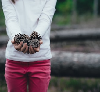 woman holding brown pinecones
