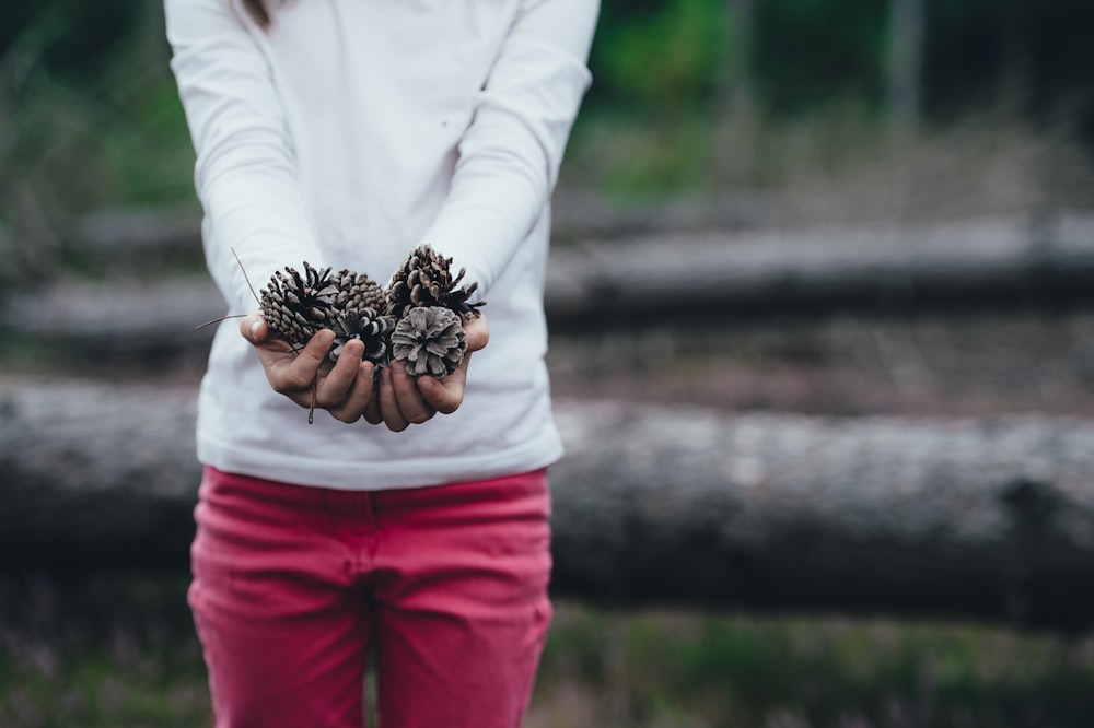woman holding brown pinecones