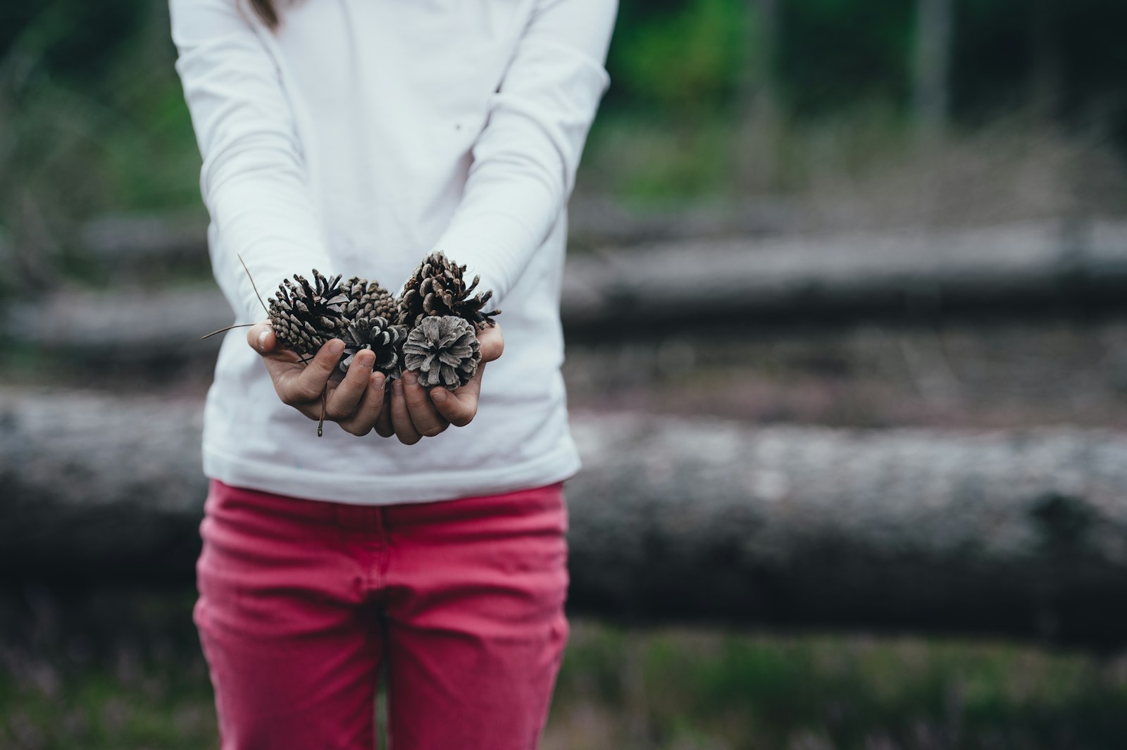 Nikon D4S + Nikon AF-S Nikkor 70-200mm F2.8G ED VR II sample photo. Woman holding brown pinecones photography