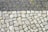A cobblestone pavement features dark and light stones arranged in a pattern with patches of green moss growing between them. The stones vary in shape and size, contributing to a rustic and uneven texture.