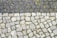 A cobblestone pavement features dark and light stones arranged in a pattern with patches of green moss growing between them. The stones vary in shape and size, contributing to a rustic and uneven texture.