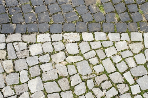 A cobblestone pavement features dark and light stones arranged in a pattern with patches of green moss growing between them. The stones vary in shape and size, contributing to a rustic and uneven texture.