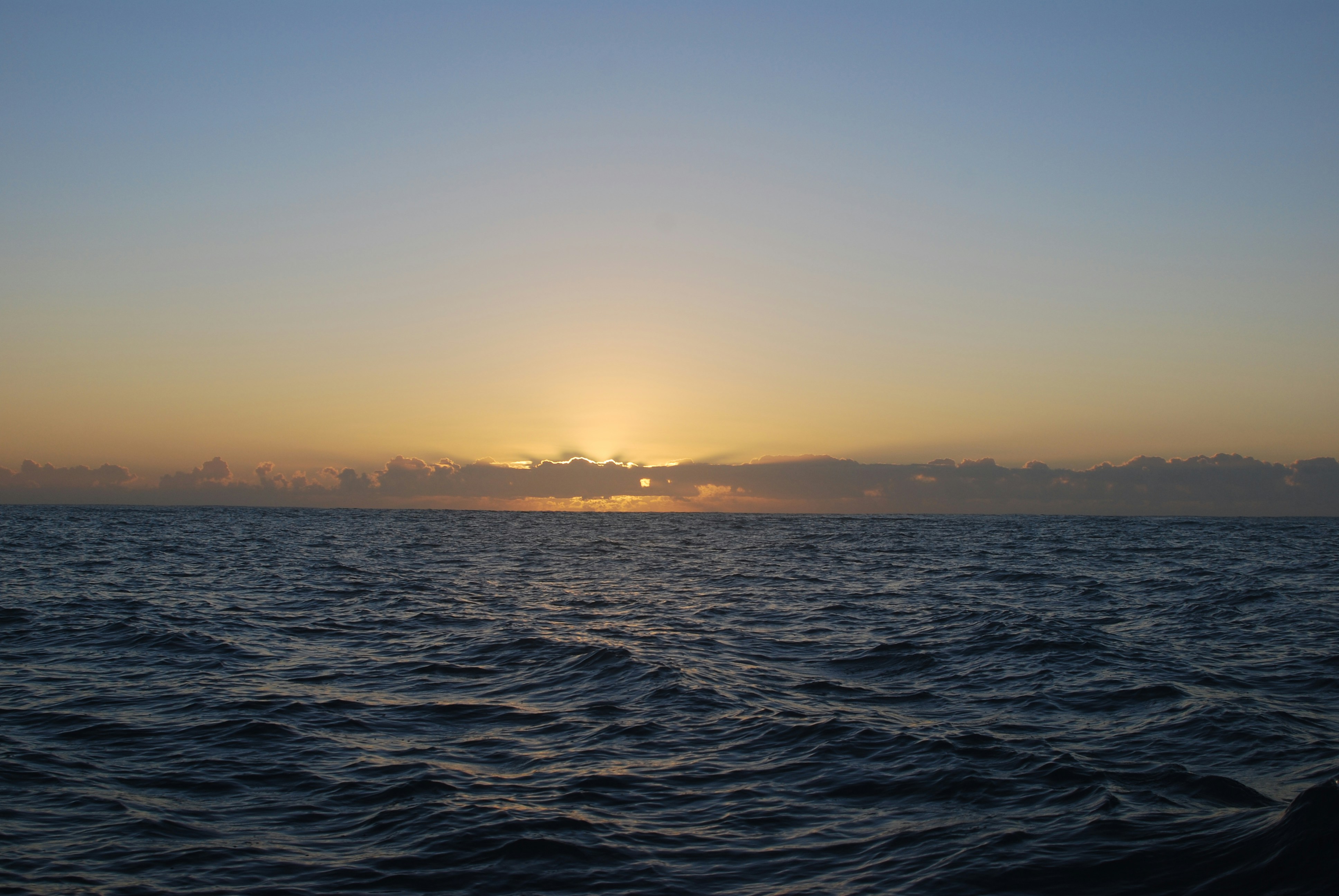 Free Unsplash photo from Stephen Mierendorf