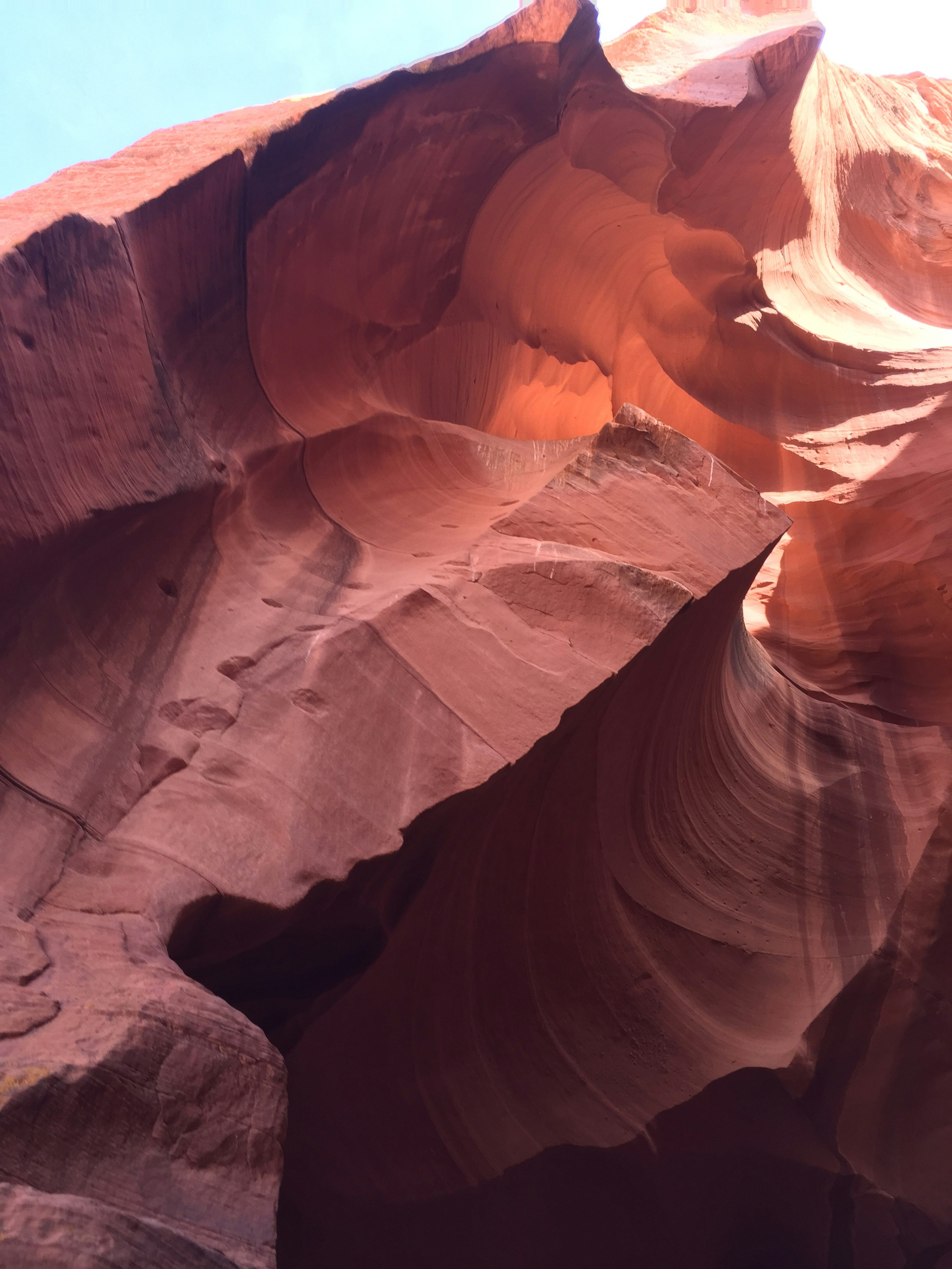 Free Unsplash photo from Deb Lane