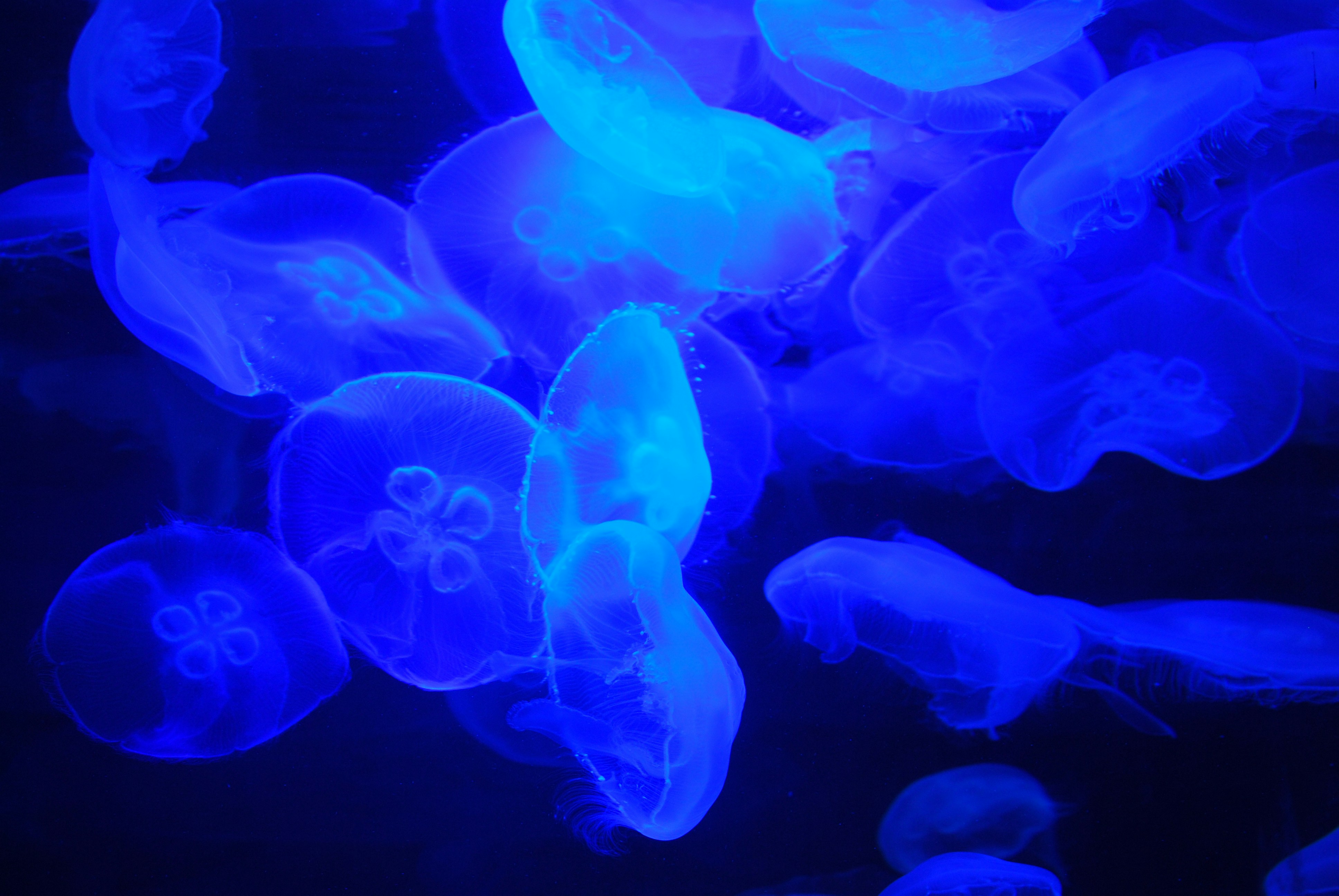 Free Unsplash photo from Stephen Mierendorf