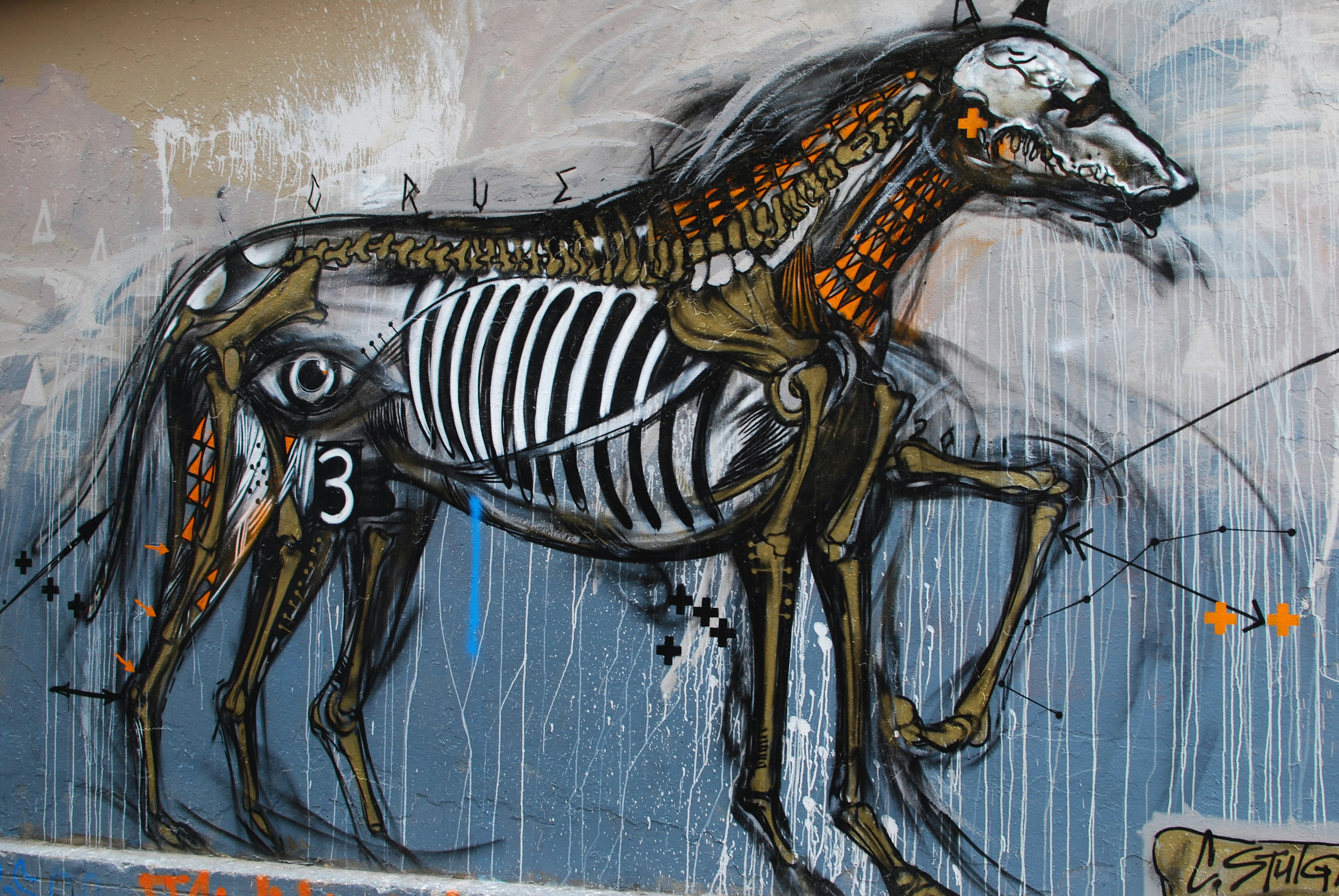 Free Unsplash photo from Stephen Mierendorf