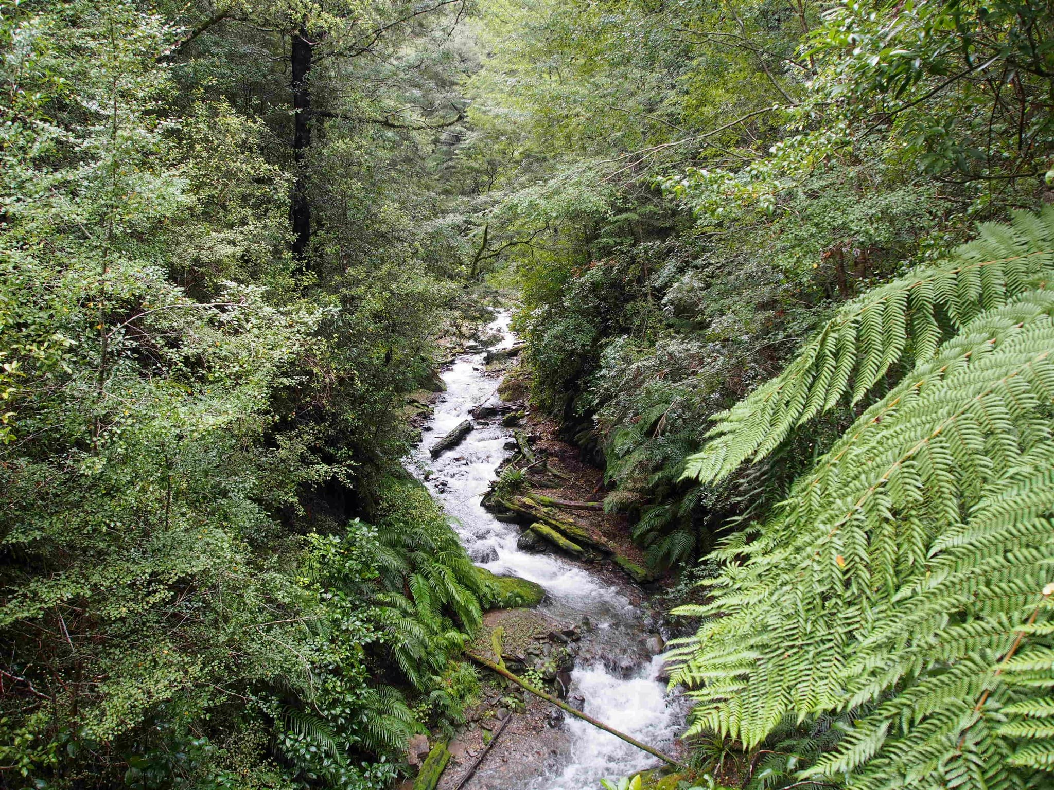 Free Unsplash photo from Eric Luo