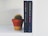 A small cactus sits in a terracotta pot on a white shelf next to two upright books. The books have dark spines, with one titled 'HTML & CSS' and the other 'JavaScript & jQuery'.