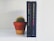 A small cactus sits in a terracotta pot on a white shelf next to two upright books. The books have dark spines, with one titled 'HTML & CSS' and the other 'JavaScript & jQuery'.