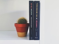 A small cactus sits in a terracotta pot on a white shelf next to two upright books. The books have dark spines, with one titled 'HTML & CSS' and the other 'JavaScript & jQuery'.