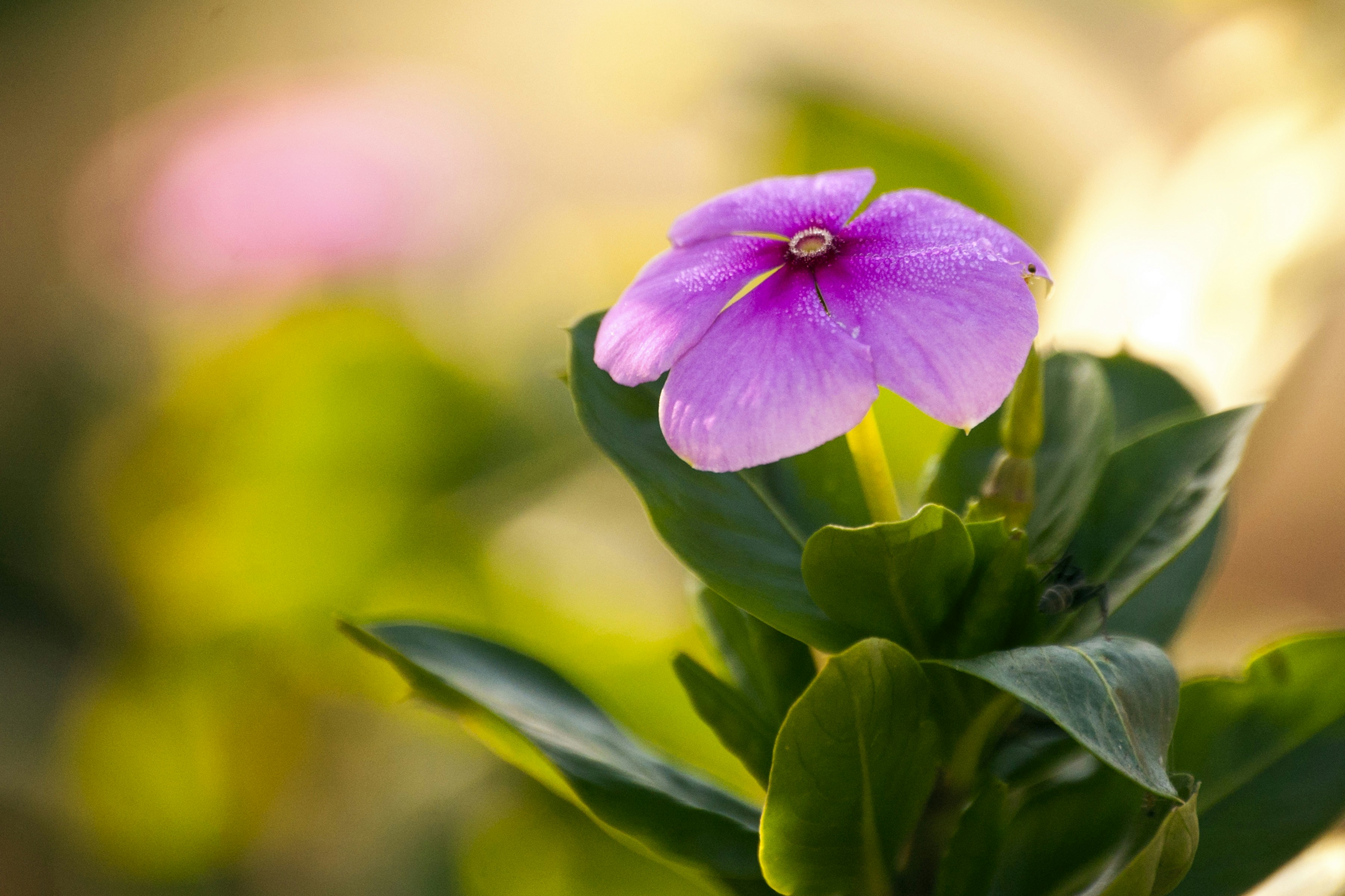 Free Unsplash photo from Kevin Folk