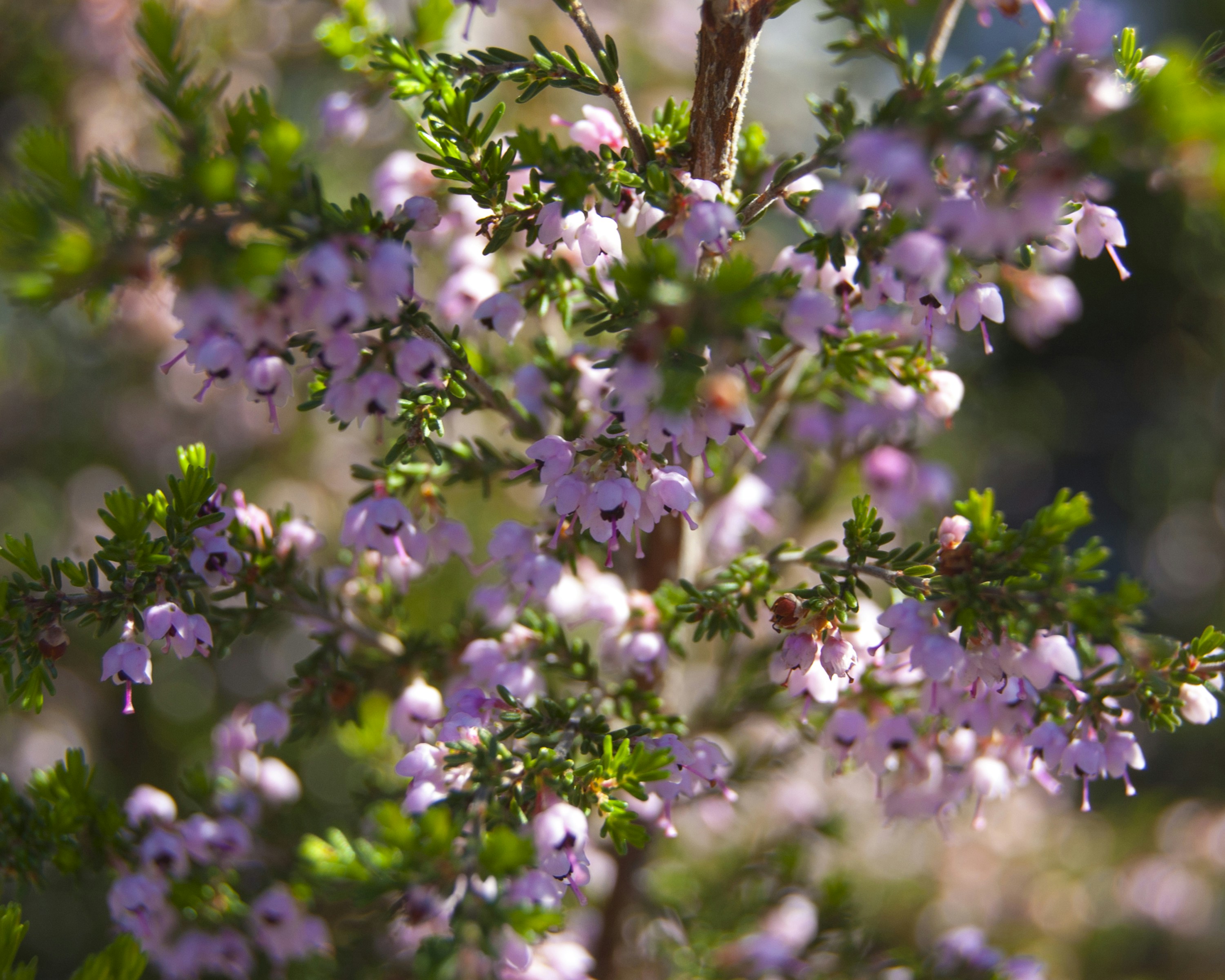 Free Unsplash photo from Kevin Folk