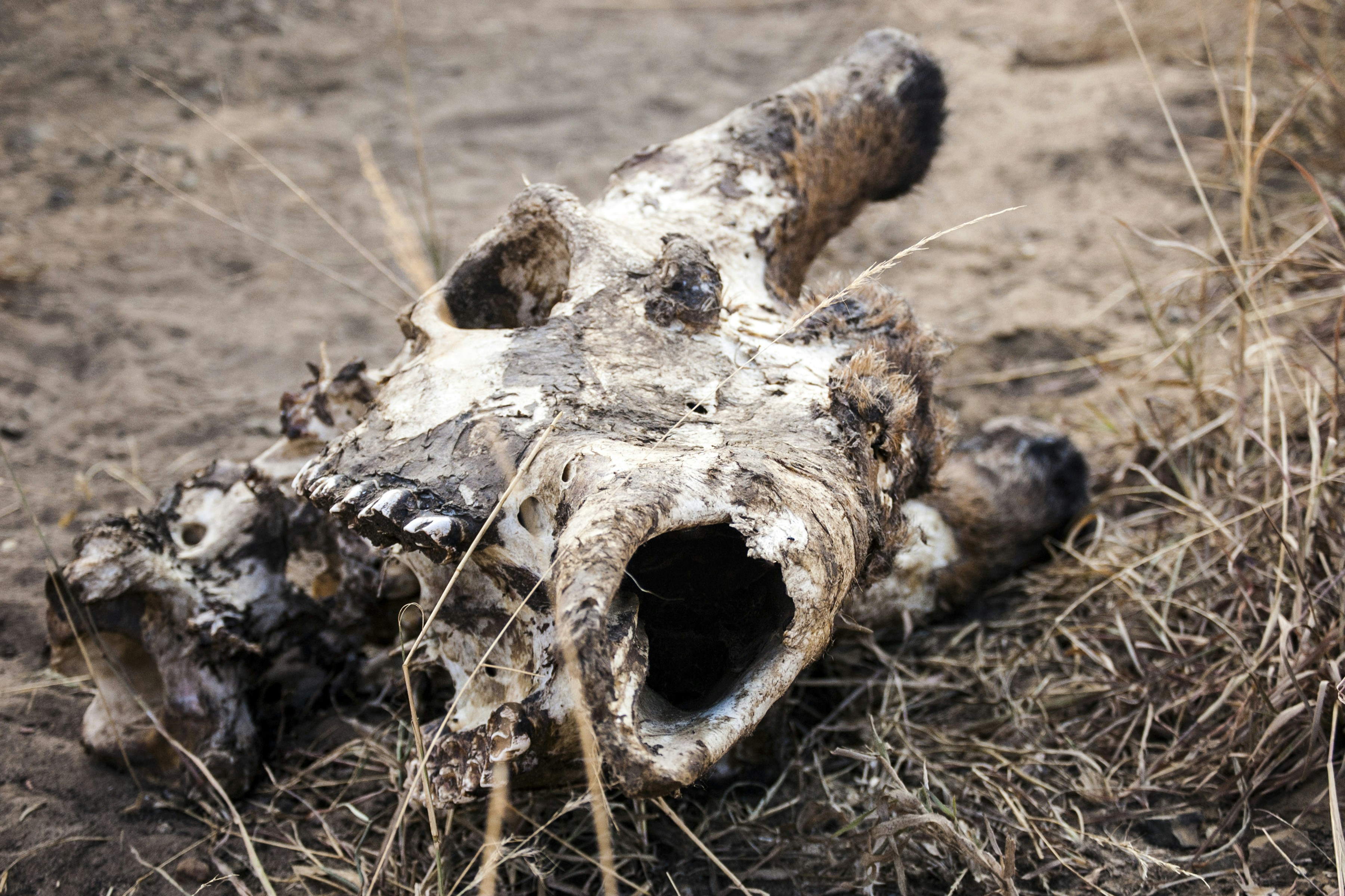 Free Unsplash photo from Kevin Folk