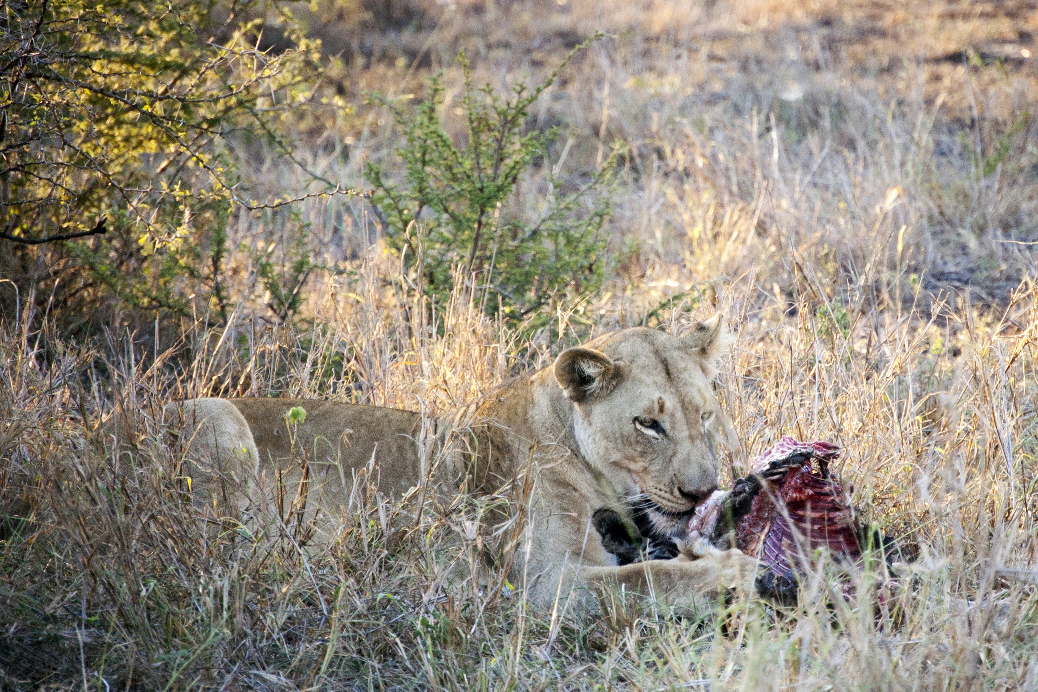 Free Unsplash photo from Kevin Folk