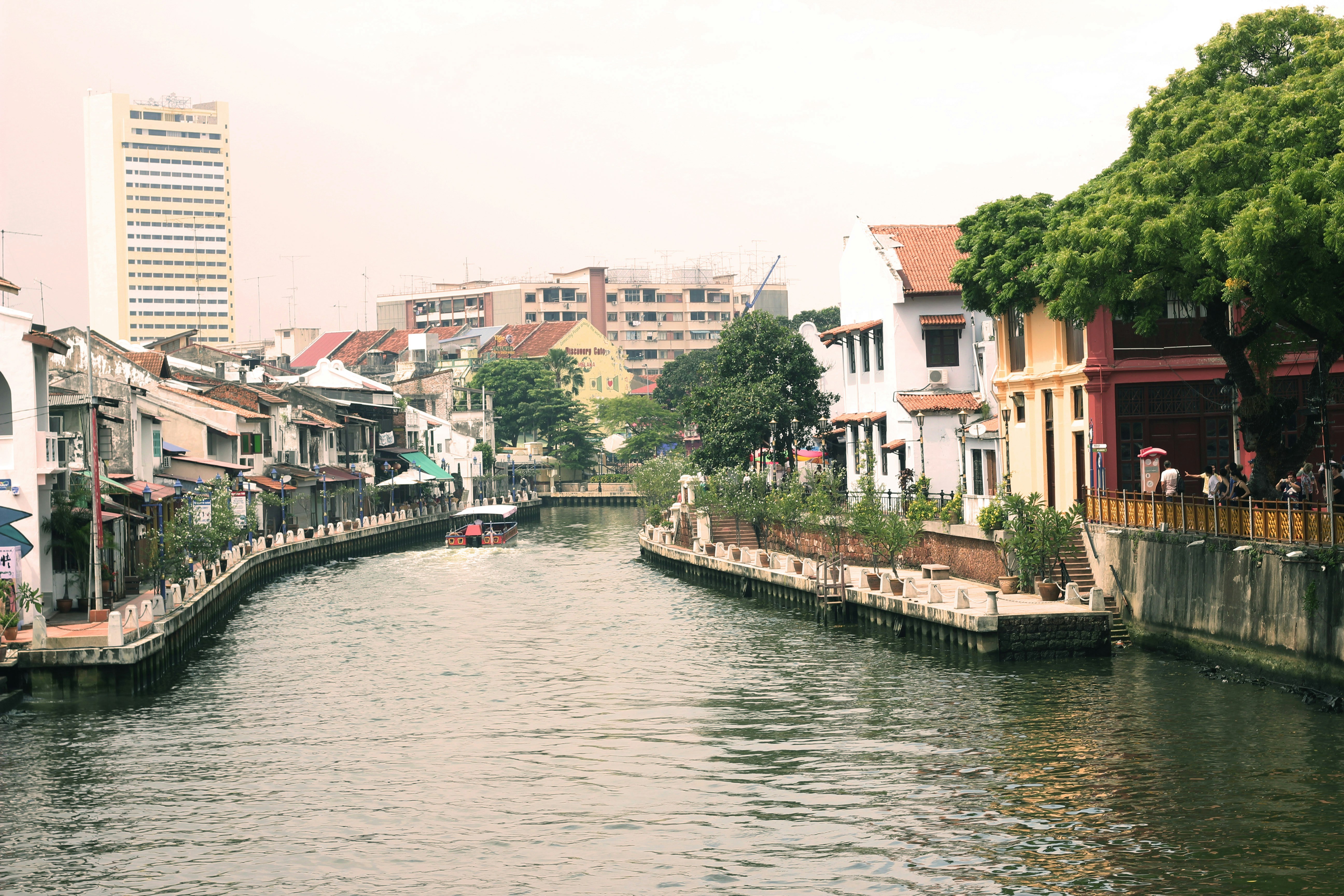 Free Unsplash photo from Vân Thy