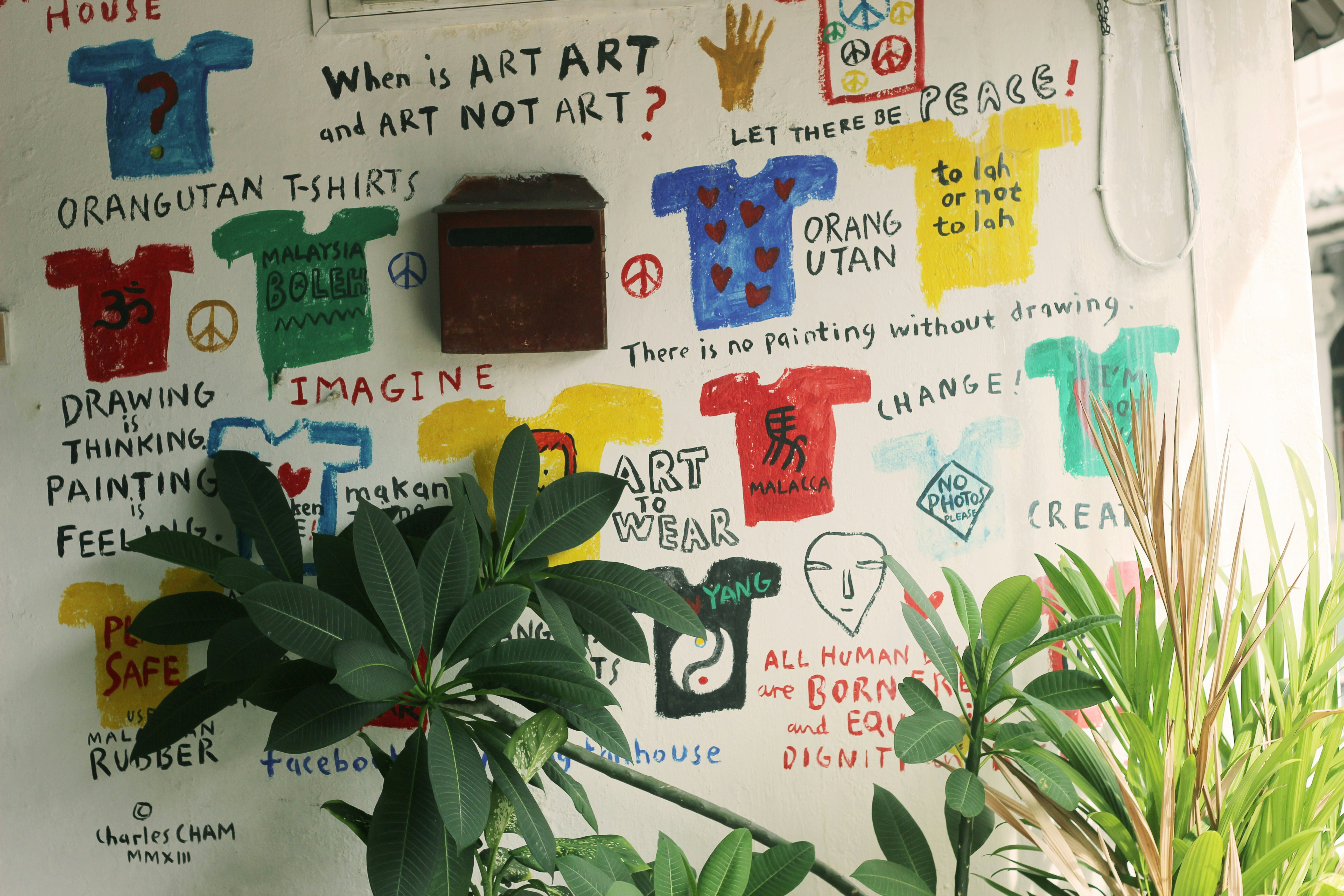 Free Unsplash photo from Vân Thy