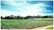 A lush green farm field with rows of crops growing under a bright blue sky. In the distance, there is a small hut surrounded by dense trees. The sky is clear with a few wispy clouds, and there is a wooden framework at the front for crop support.