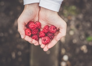 person holding cranberries