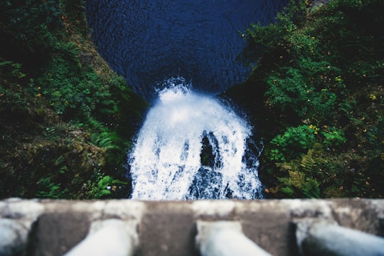 person looking down on waterfalls in Multnomah Falls United States