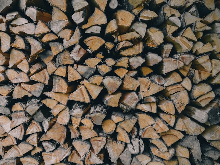 Pavement Surrounded With Dried Leaves Photo Free Fall Image On Unsplash