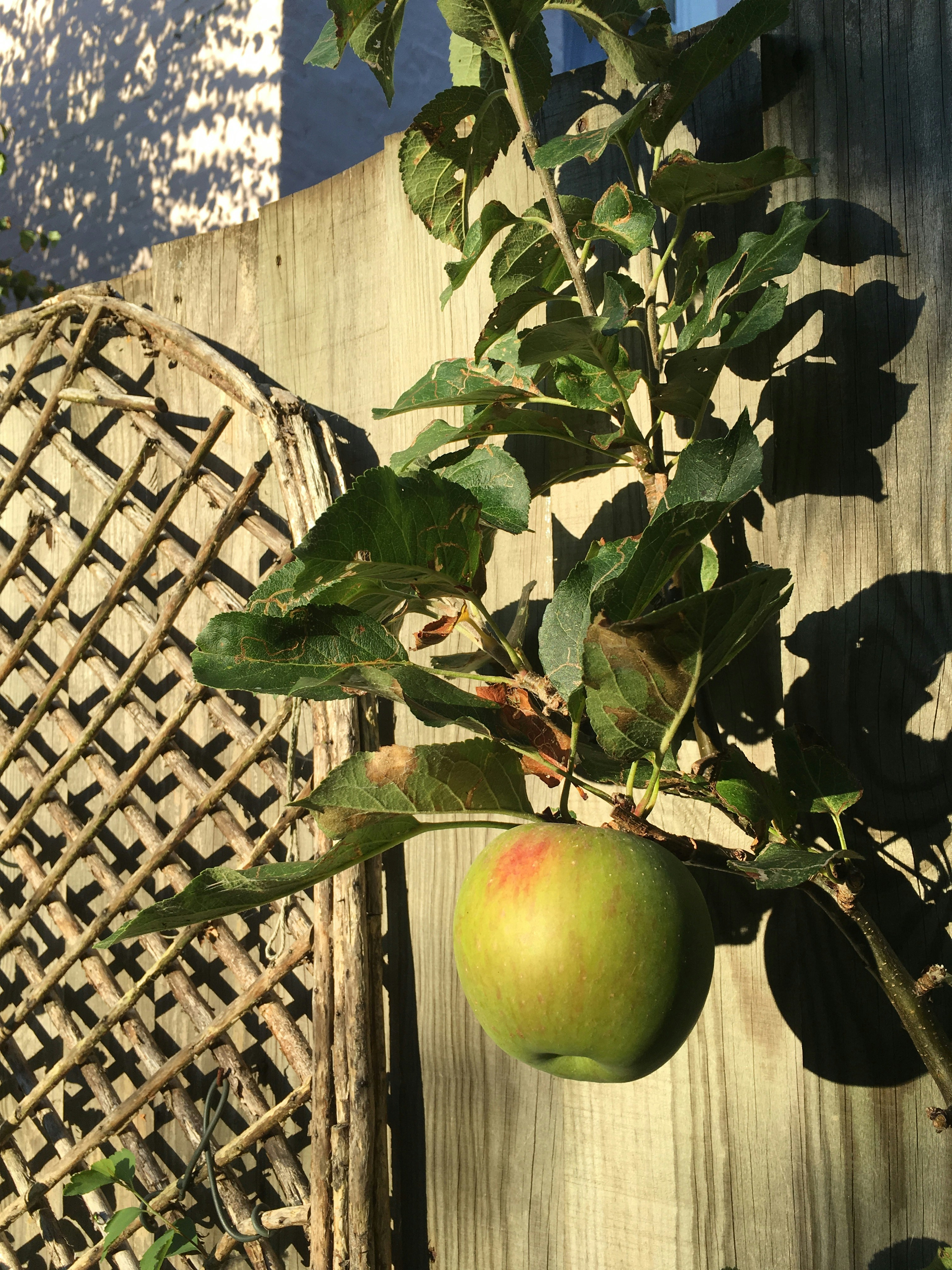 Free Unsplash photo from Jenny Macdonald