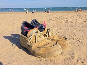 Navy Canvas Shoes