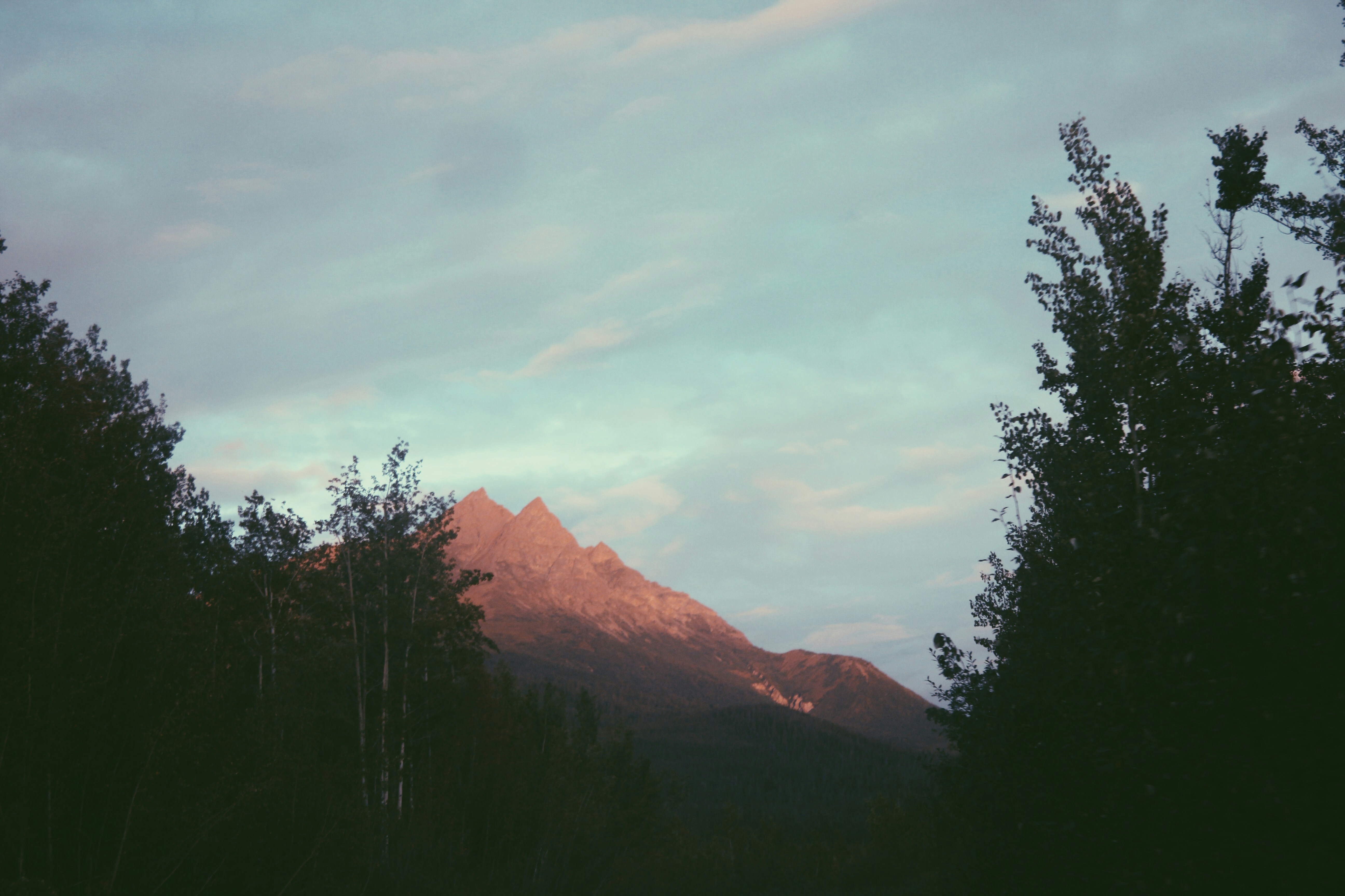 Free Unsplash photo from Daniel McCullough