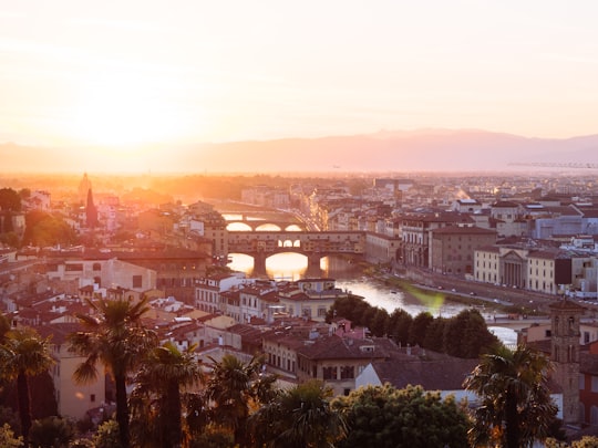 aerial photo of a city in Ponte Vecchio Italy