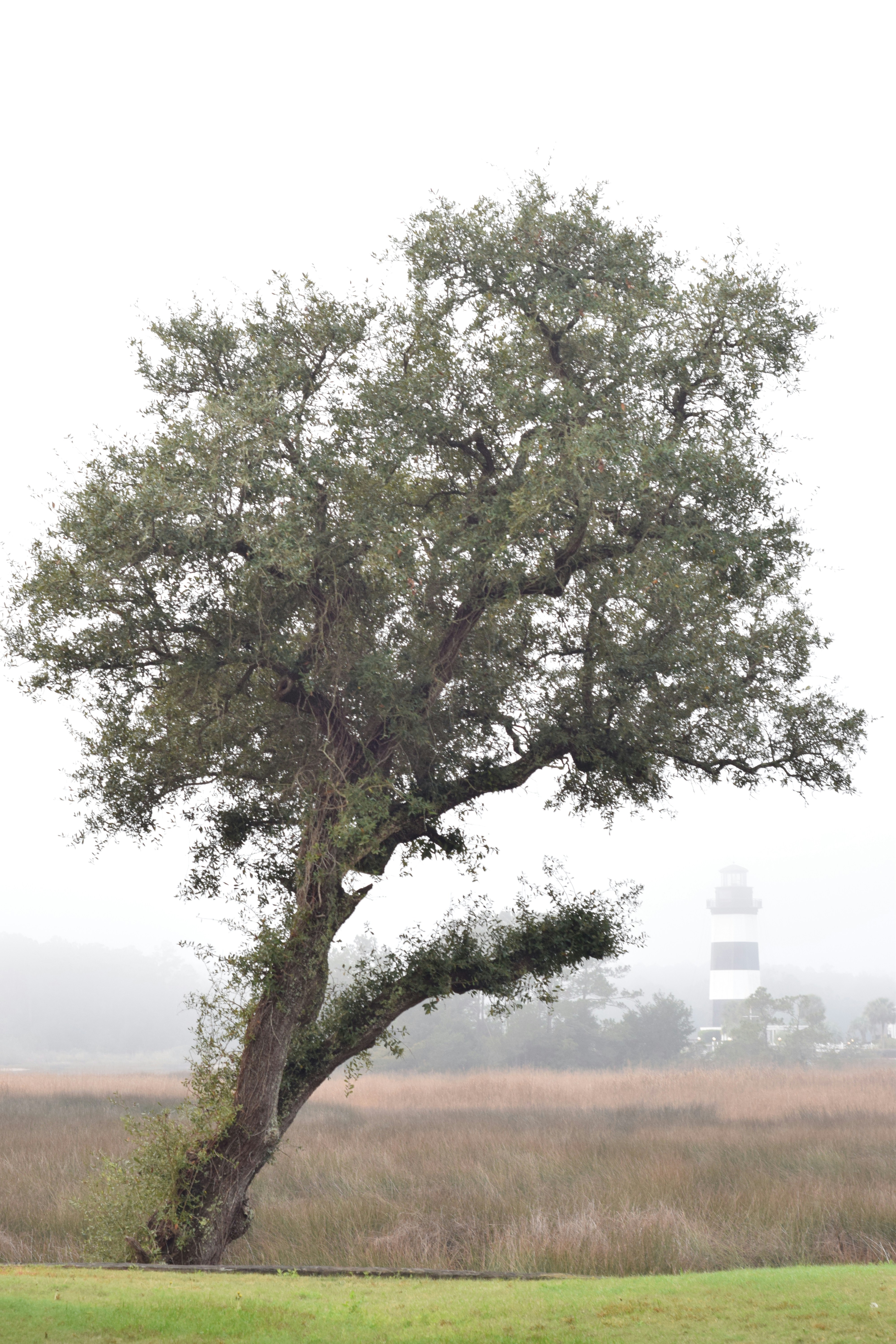 Free Unsplash photo from Krista Norris